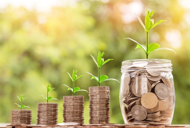 A jar of coins with a plant growing out of it that symbolizes improving your credit score and finances.