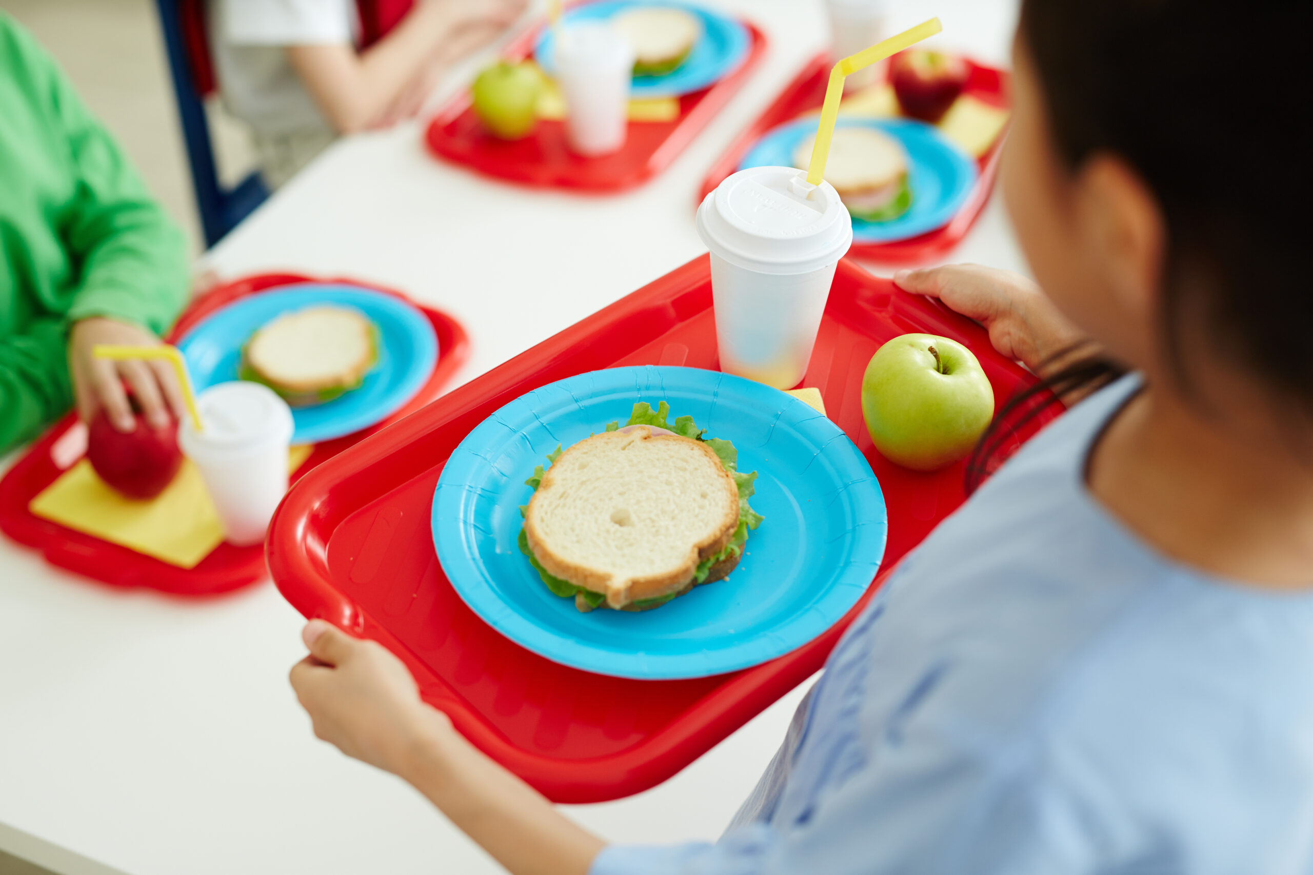 School Breakfast Program (SBP)